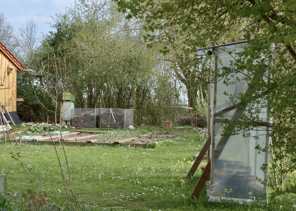 gemuesebeet-tomatenhaus-tomatenanzucht