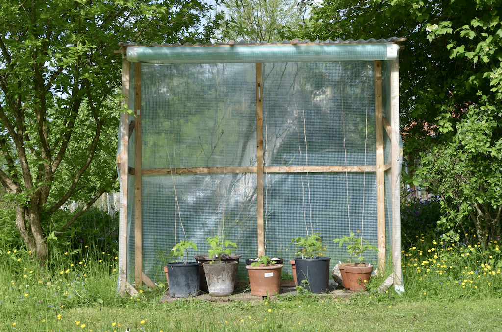 tomatenhaus_selber_bauen