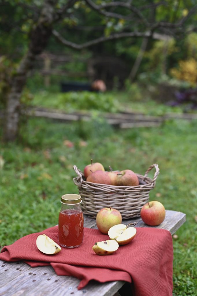 Apfeldicksaft_selber_machen